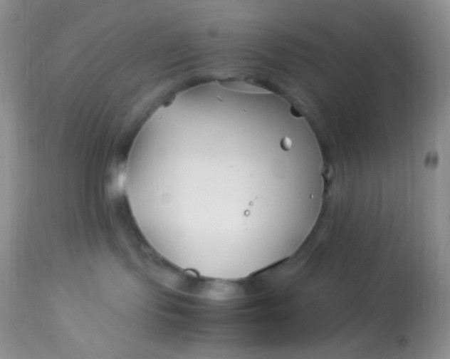 X0000113090095200909182125