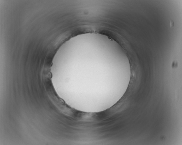 X0000113090096200909182125