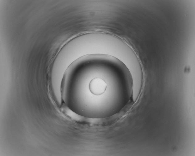 X0000113090097200909182124