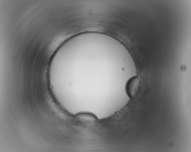 X0000113090098200909182124