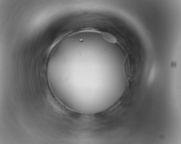 X0000113090099200909182124