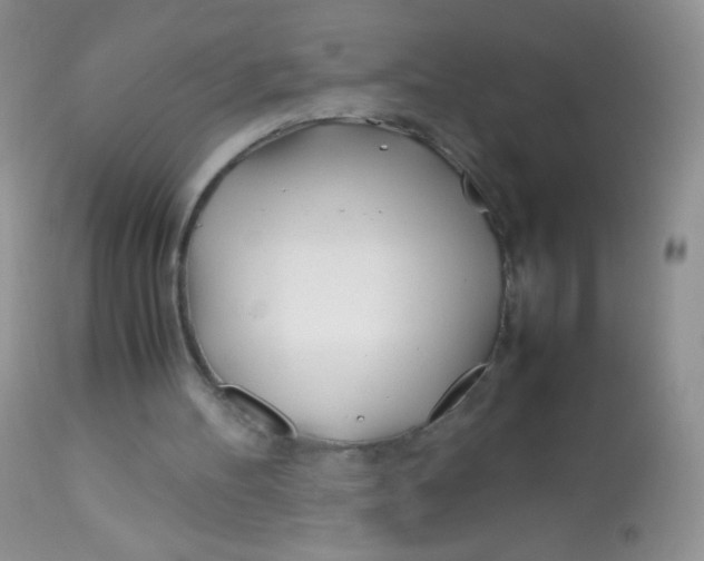 X0000113090100200909182124