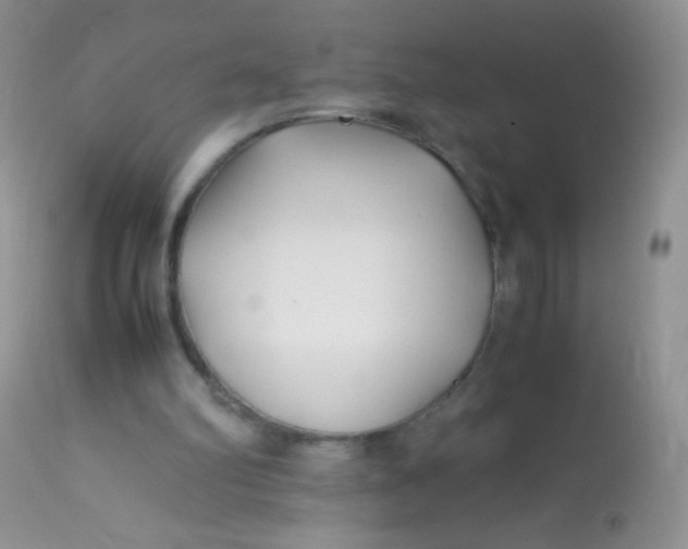 X0000113090102200909182124