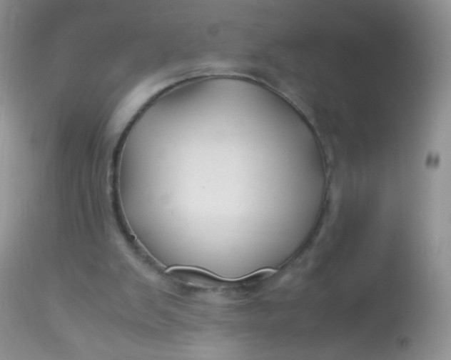 X0000113090103200909182124