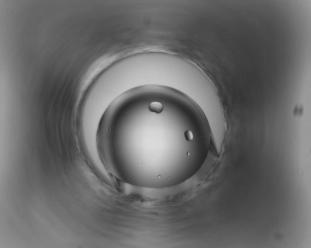 X0000113090104200909182124