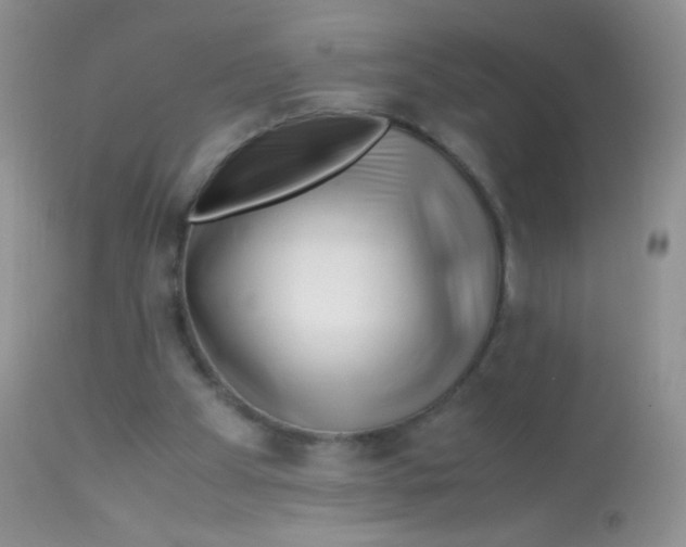 X0000113090105200909182124