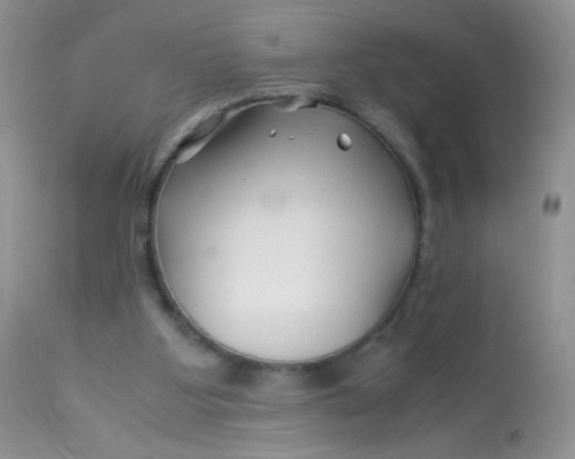 X0000113090107200909182124