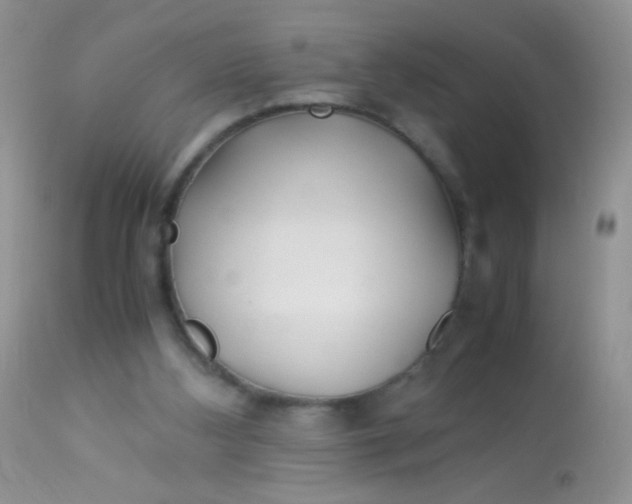 X0000113090108200909182124