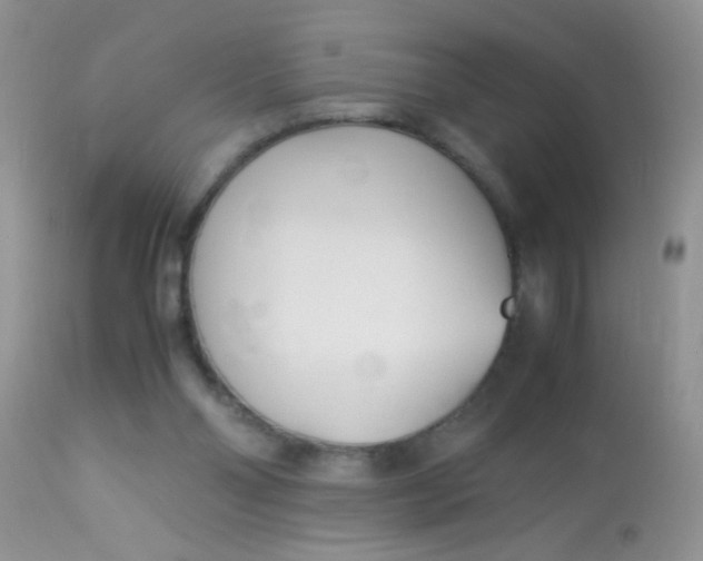 X0000113090110200909182124