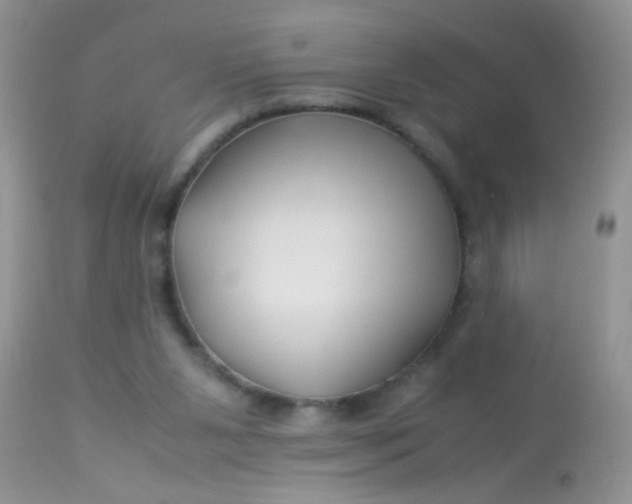 X0000113090111200909182124