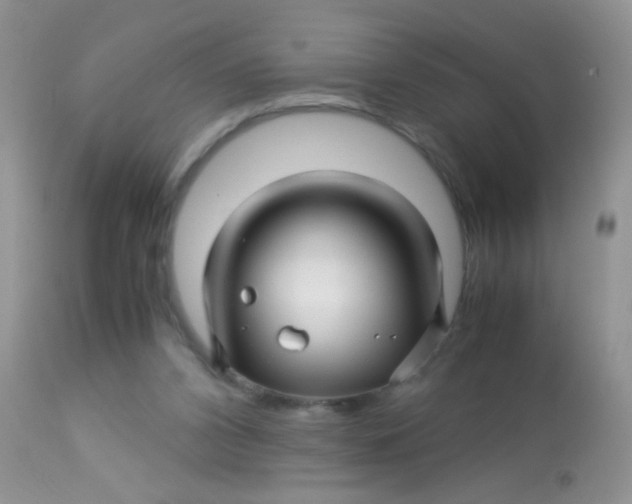 X0000113090112200909182124