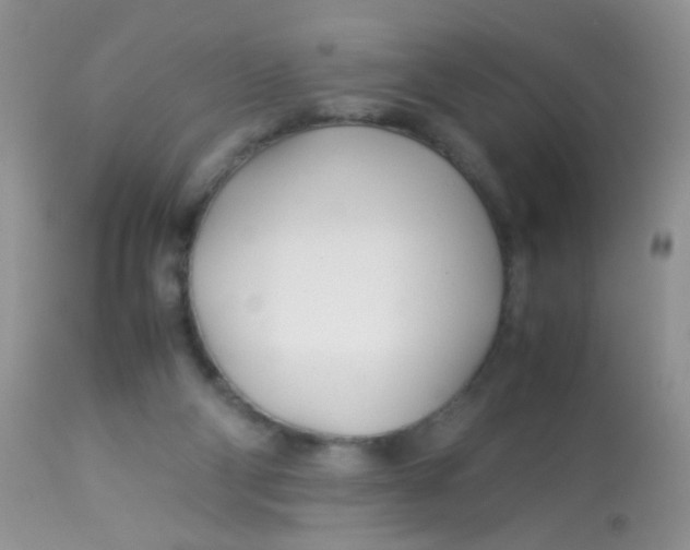 X0000113090114200909182124