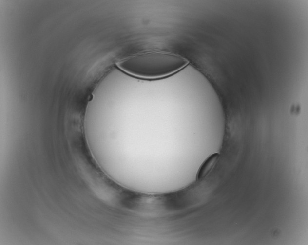 X0000113090117200909182124