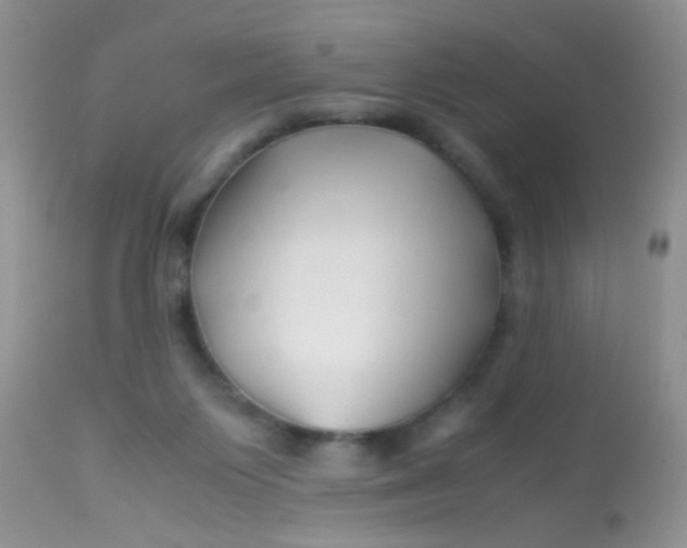 X0000113090119200909182124