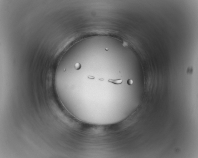 X0000113090120200909182124