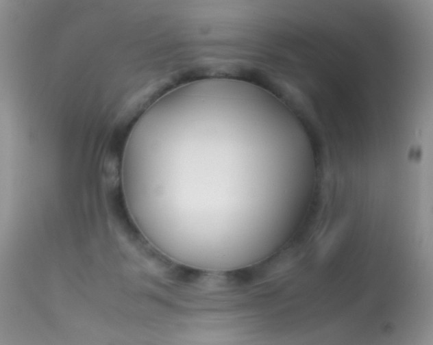 X0000113090123200909182124