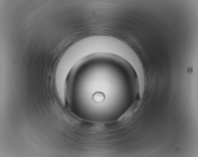 X0000113090124200909182124