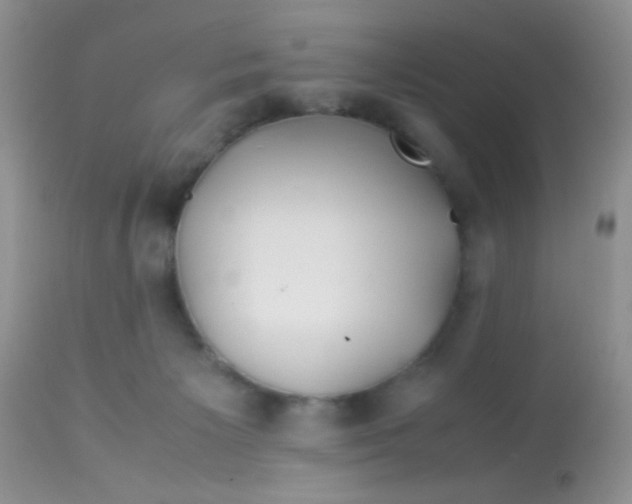 X0000113090125200909182124