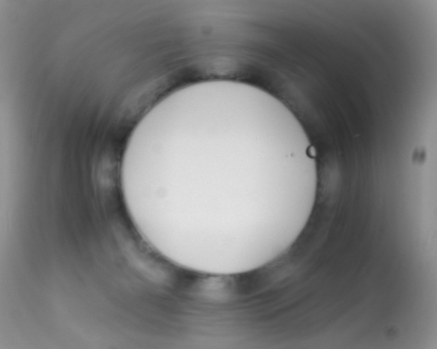 X0000113090126200909182124