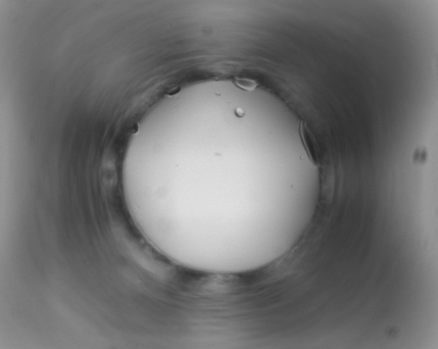 X0000113090128200909182123