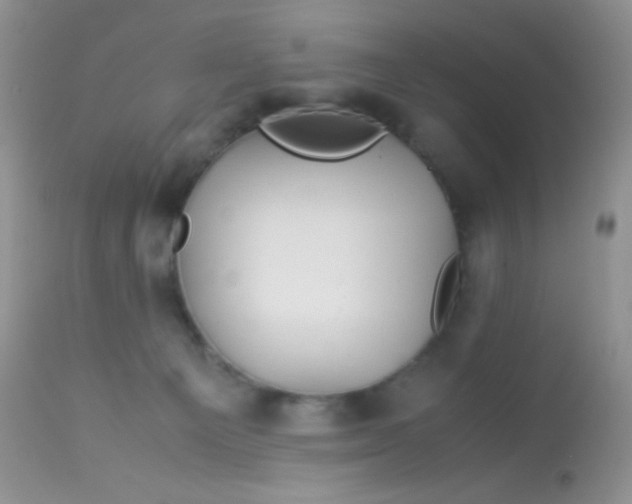 X0000113090129200909182123