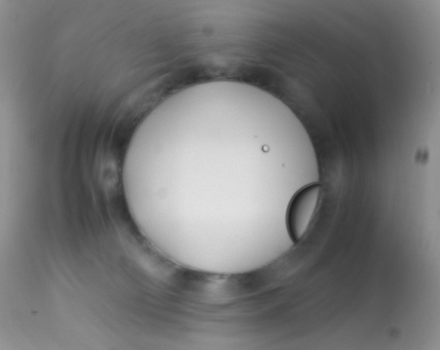 X0000113090130200909182123