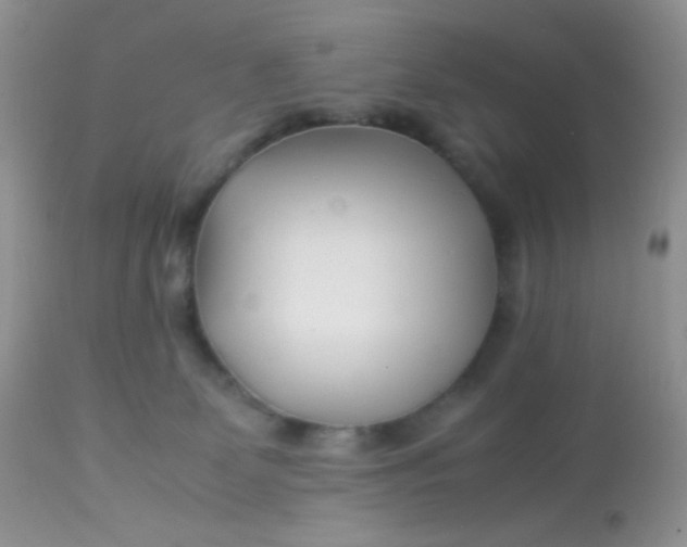 X0000113090131200909182123