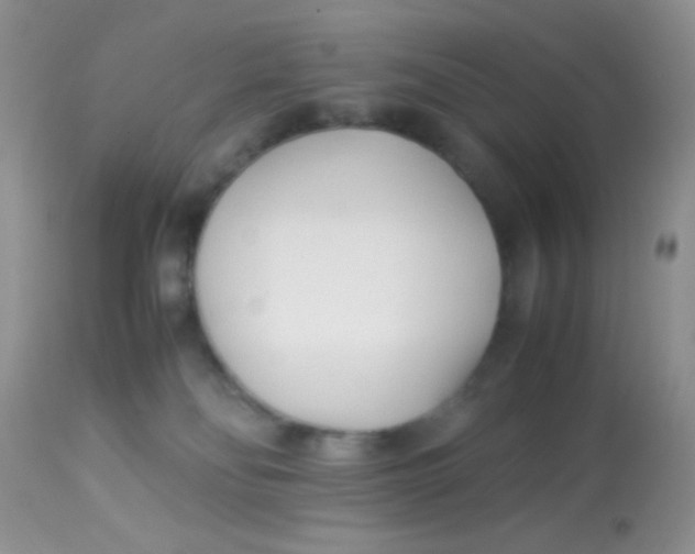 X0000113090134200909182123