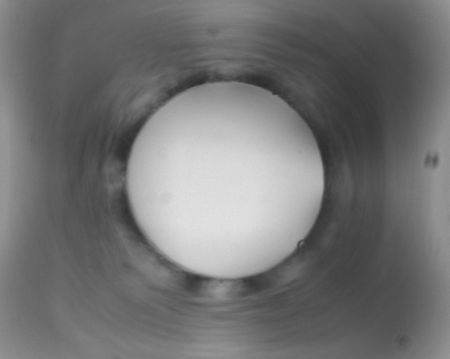 X0000113090135200909182123