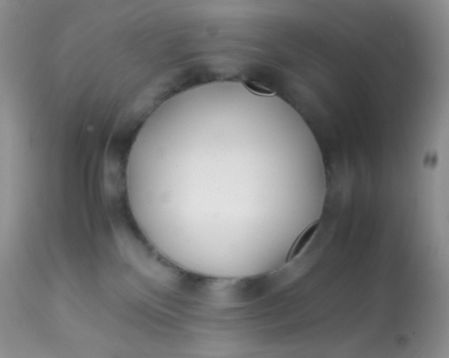 X0000113090136200909182123