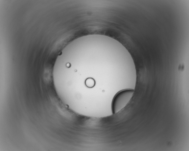 X0000113090138200909182123