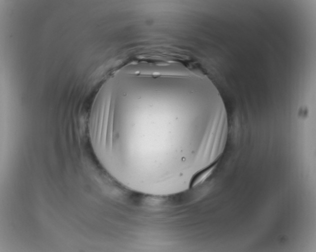 X0000113090139200909182123