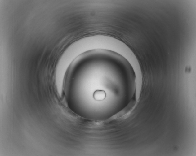 X0000113090140200909182123