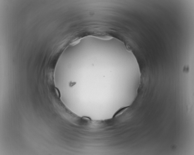 X0000113090141200909182123