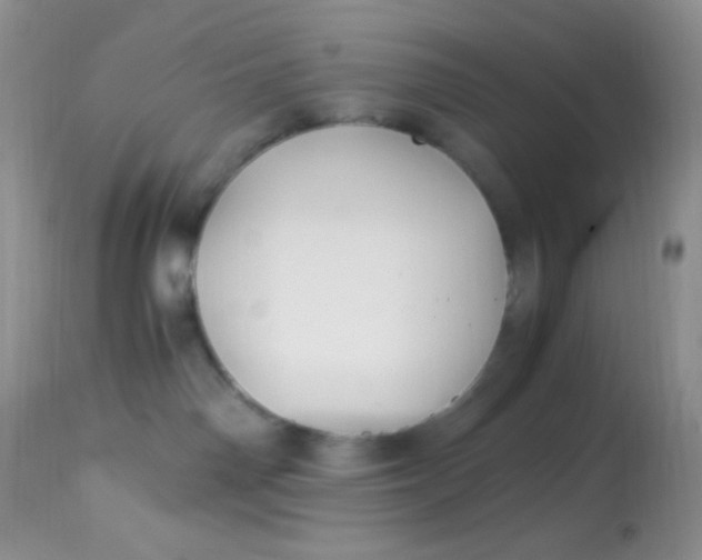 X0000113090142200909182123