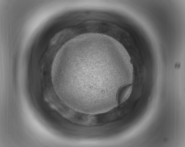 X0000113090143200909182123