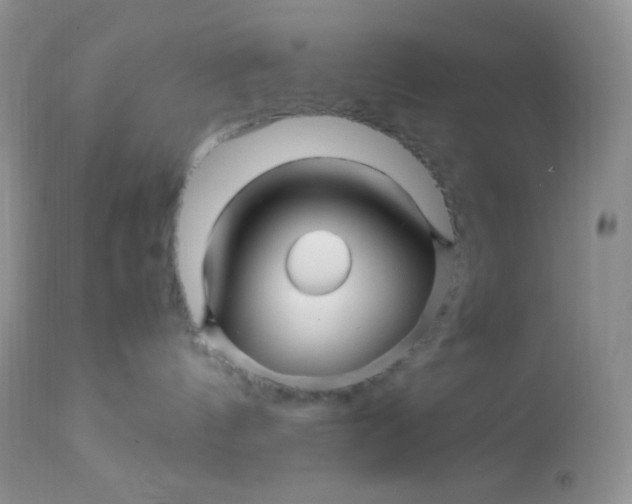 X0000113090144200909182123