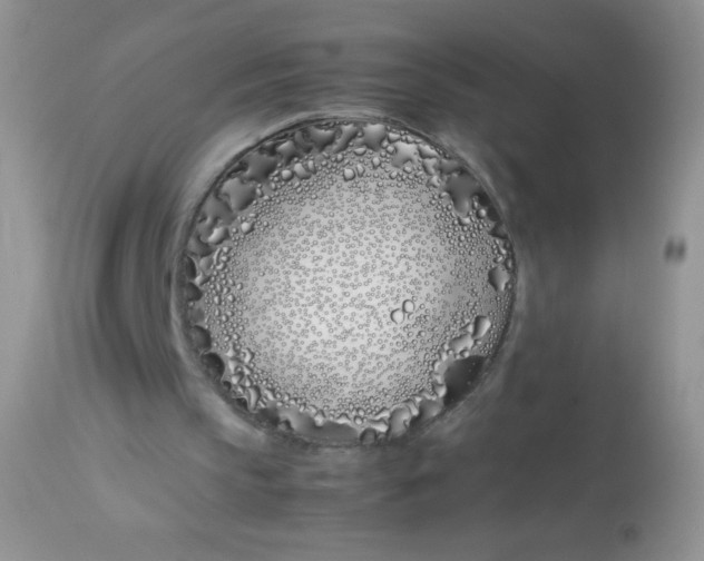 X0000113090145200909182122