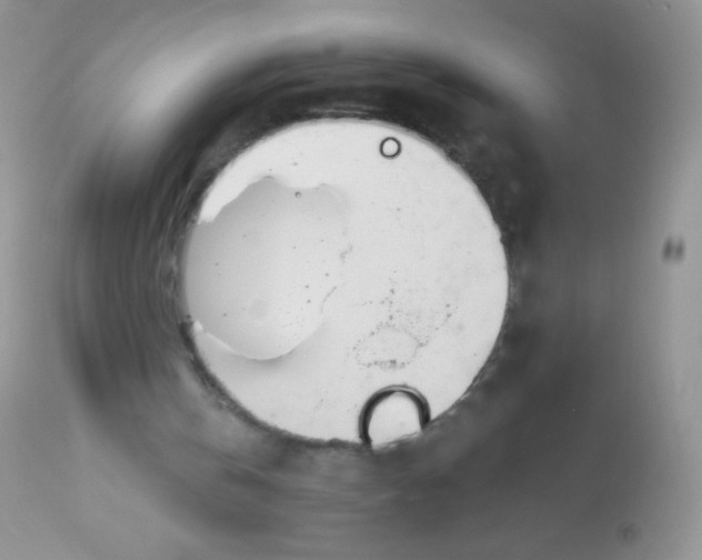 X0000113090146200909182122