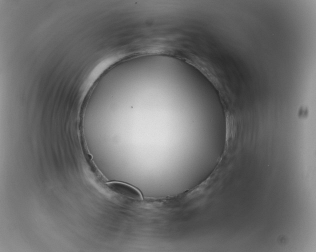 X0000113090147200909182122