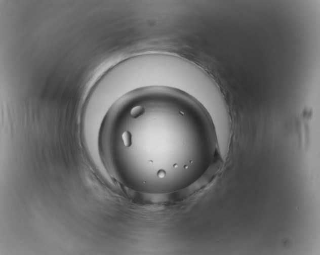 X0000113090148200909182122