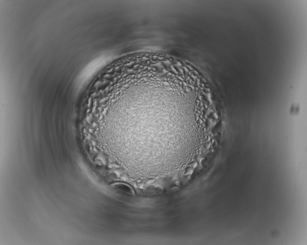 X0000113090149200909182123