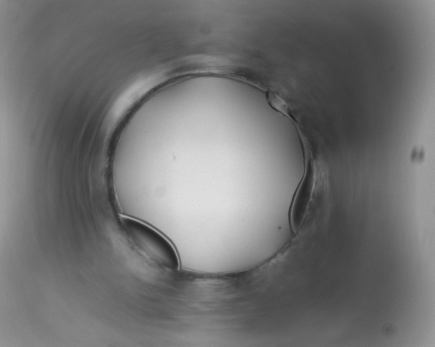 X0000113090150200909182123