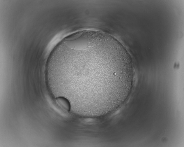 X0000113090151200909182123