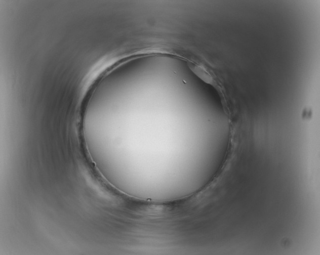 X0000113090152200909182123