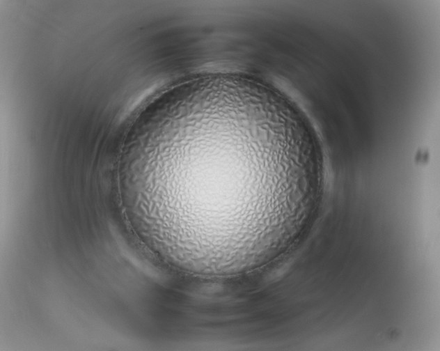 X0000113090153200909182123