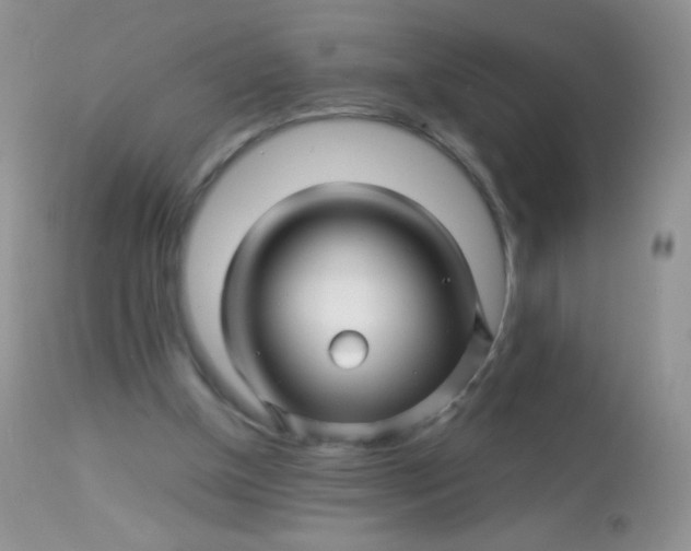 X0000113090154200909182123