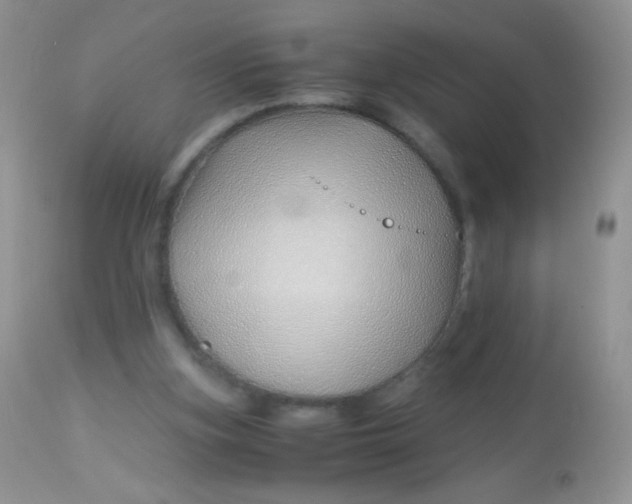 X0000113090155200909182123