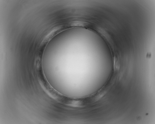 X0000113090157200909182123