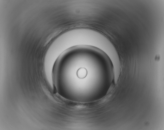 X0000113090158200909182123